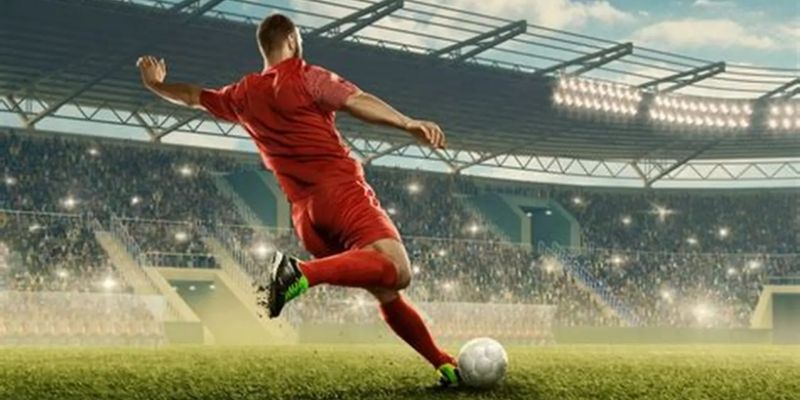 Tân thủ thường tin vào những thông tin thiếu kiểm chứng