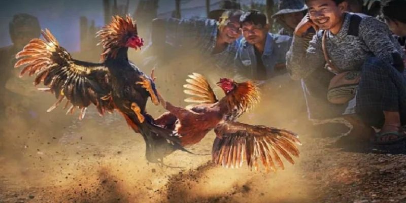 Bỏ túi chiến thuật chơi hiệu quả từ cao thủ TK88