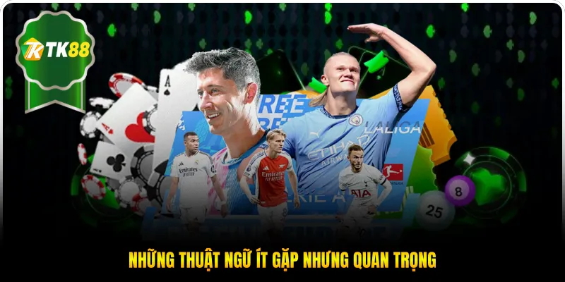 Những thuật ngữ ít gặp nhưng quan trọng
