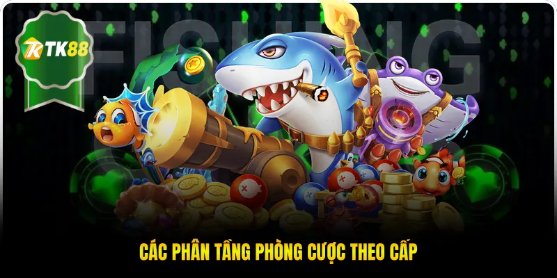Các phân tầng phòng cược theo cấp