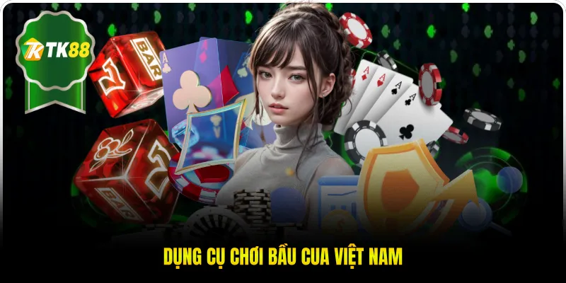 Dụng cụ chơi bầu cua Việt Nam