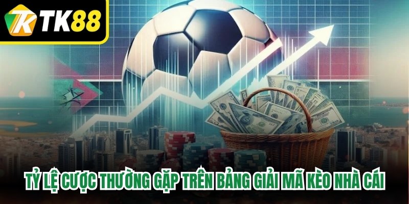 Tỷ lệ cược thường gặp trên bảng giải mã kèo nhà cái