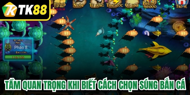 Tầm quan trọng khi biết cách chọn súng bắn cá