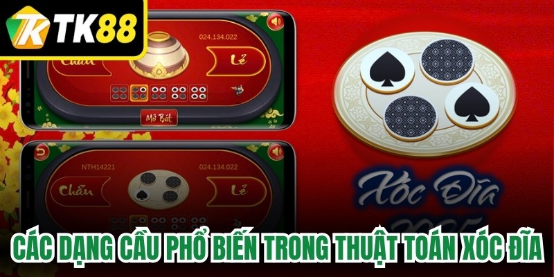 Các dạng cầu phổ biến trong thuật toán xóc đĩa