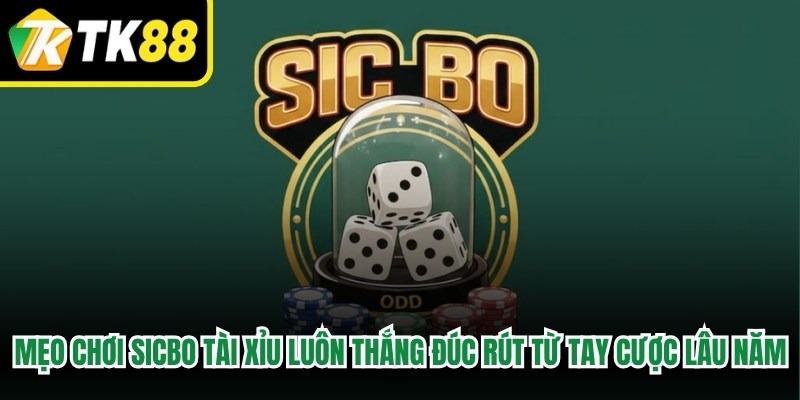 Mẹo chơi Sicbo Tài Xỉu luôn thắng đúc rút từ những tay cược lâu năm